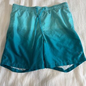 Calvin Klein Aqua Striped Swim Trunks with Mesh Lining